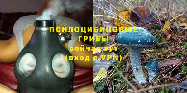 тгк Алексеевка