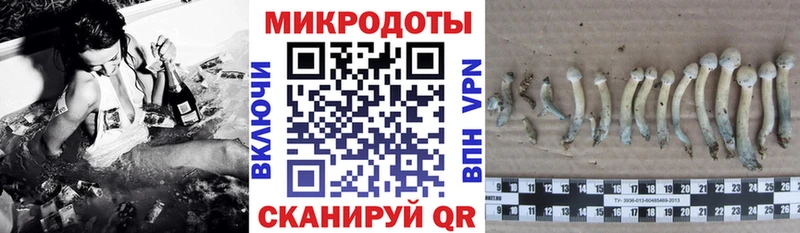 Псилоцибиновые грибы Psilocybe Нея